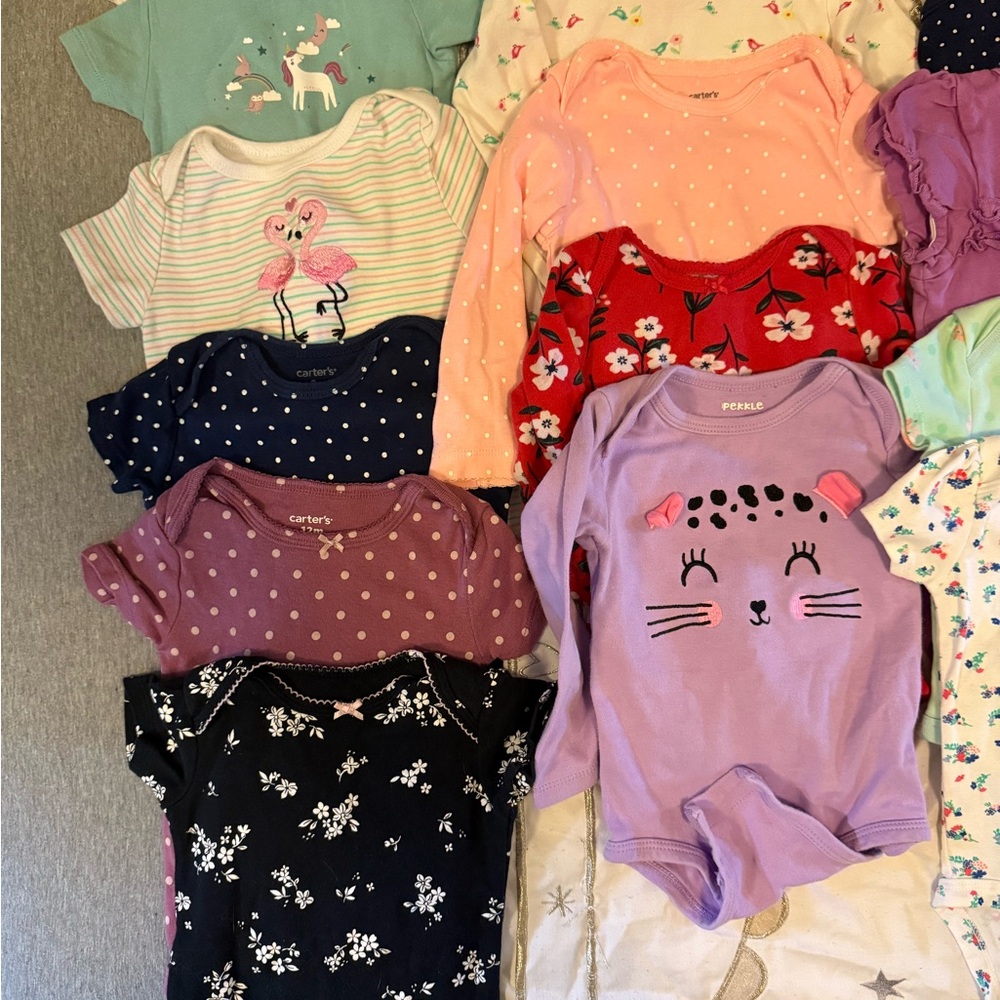 Assorted Baby Onesies Set